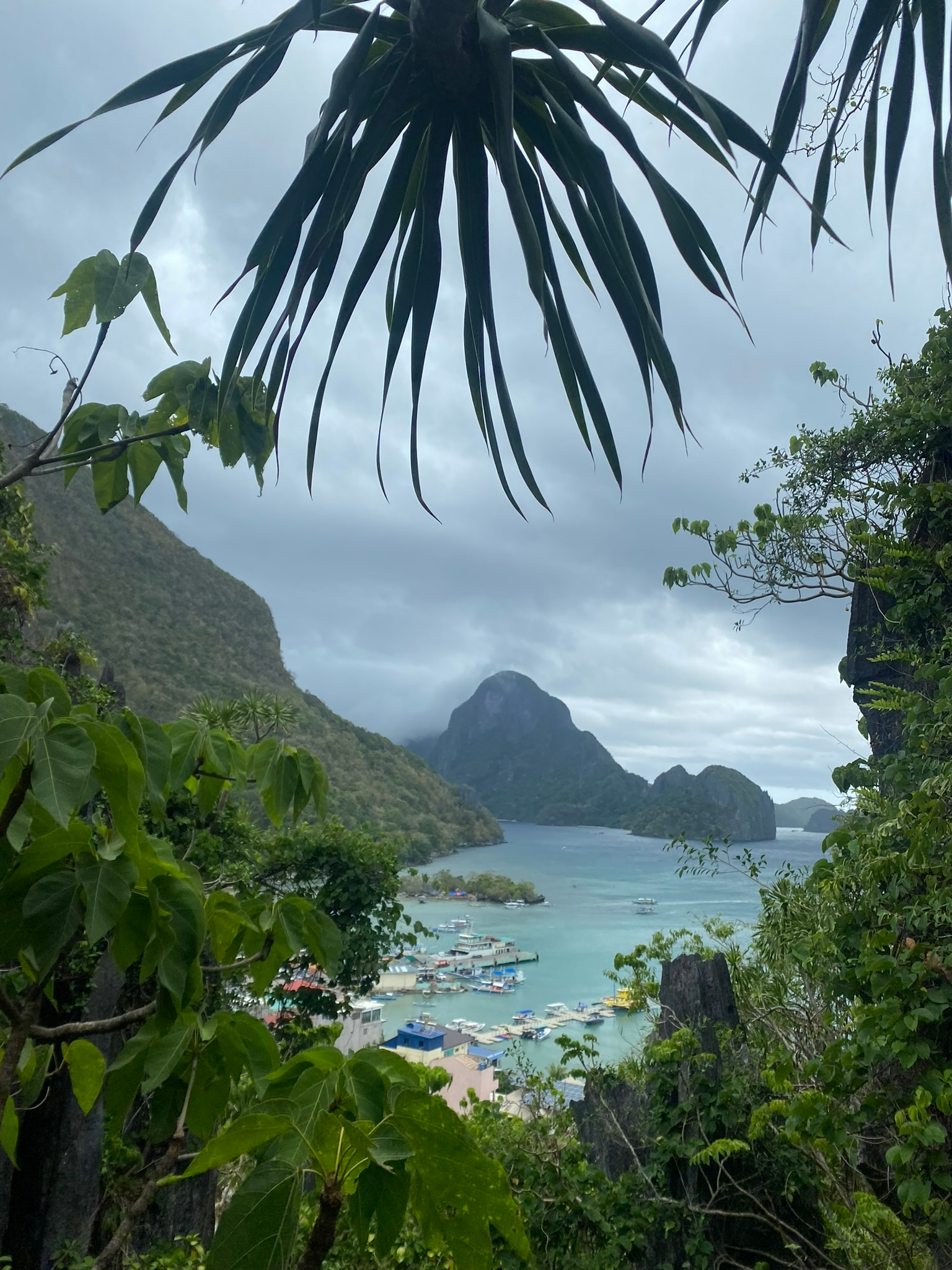 🌄 El Nido Via Ferrata Canopy Walk