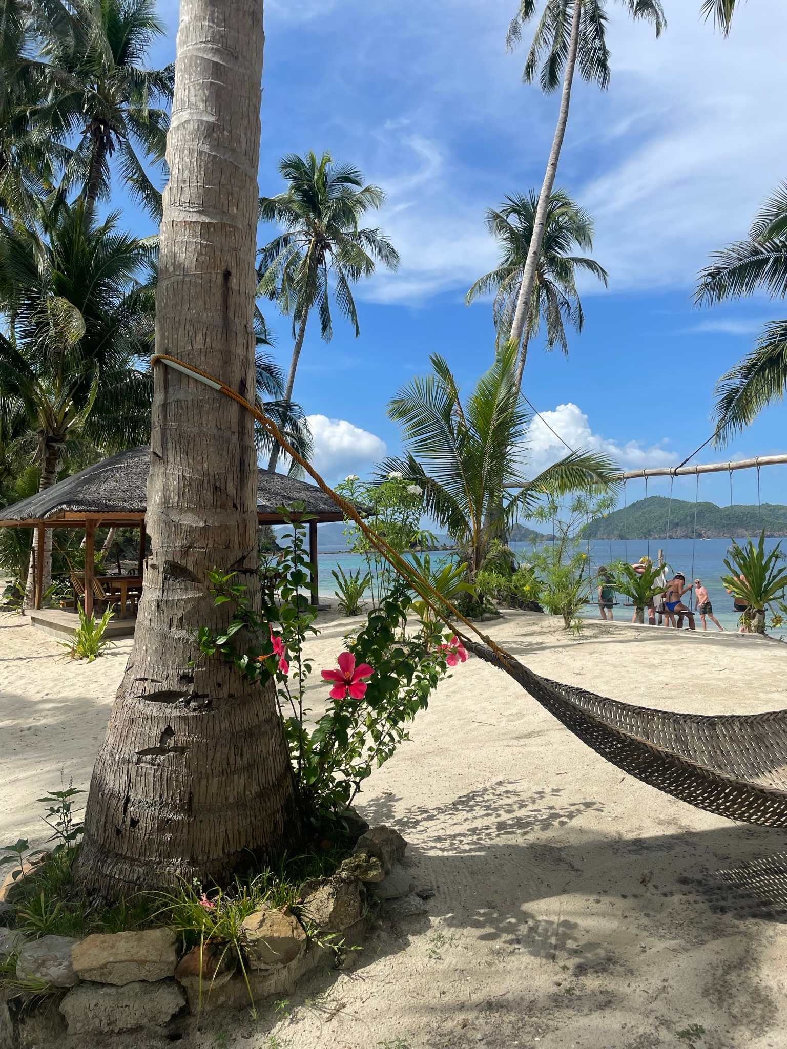 🏝️ Why You Can’t Skip This Island Hopping Tour in Port Barton